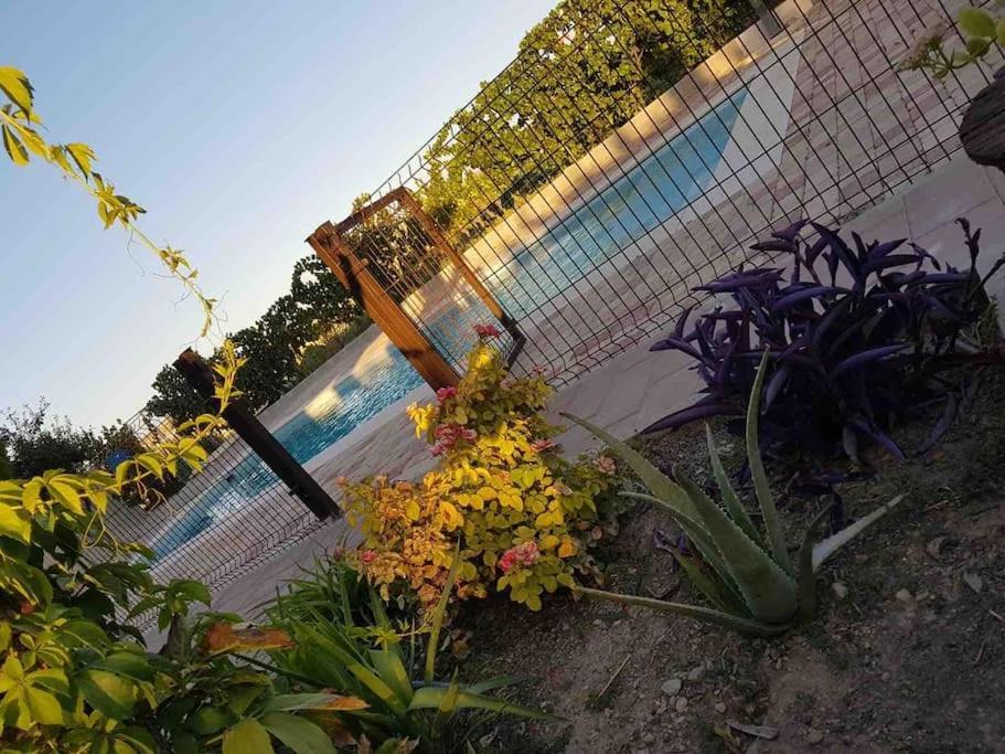 Casa Rural Alma Тотанес Экстерьер фото